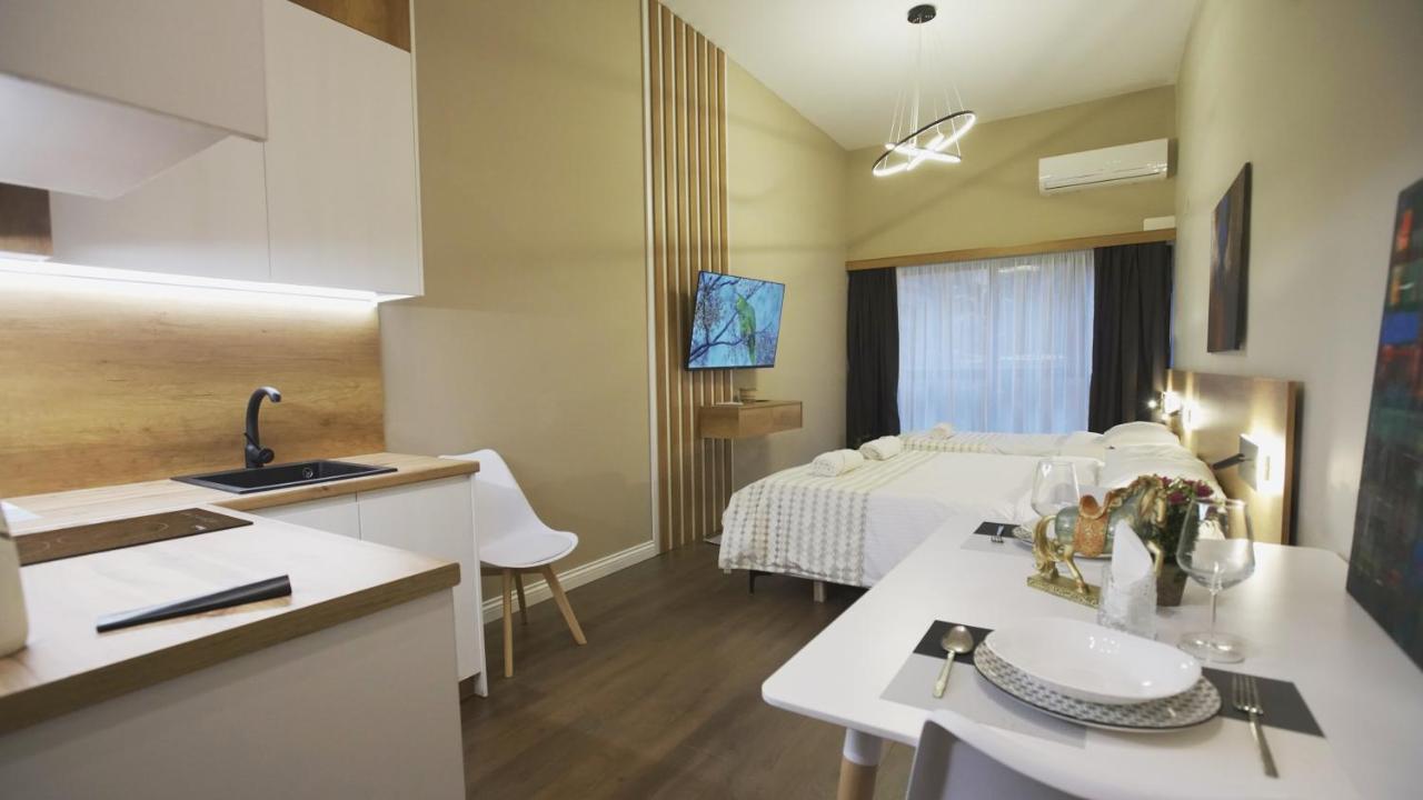 Daily Rent Studio Apartments Tirana Kültér fotó
